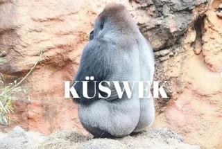 🤔 emoji @burakadmins @AsenaUserBot Paketi 3 Telegram sticker 9 of 120