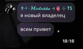 🌟 emoji @stikery1 | Стикеры Team Spirit Telegram sticker 17 of 55