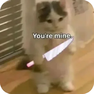 Sticker from Meow