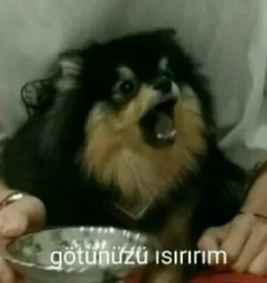 🤔 emoji @hazretijoker @AsenaUserBot Paketi 1 Telegram sticker 16 of 120