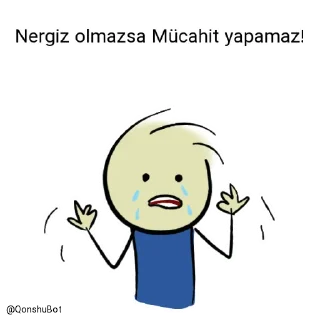 😭 emoji Mücahit ve Nergiz @Qonshubot Telegram sticker 13 of 31