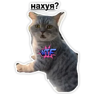 Sticker from PRIMER PAQUETE