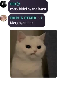 🫡 emoji mery chat⋆ @utanmam Telegram sticker 6 of 18