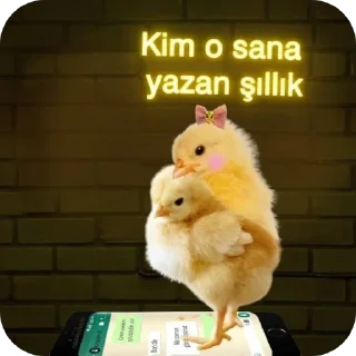 Sticker from Elizabeth ve civciv