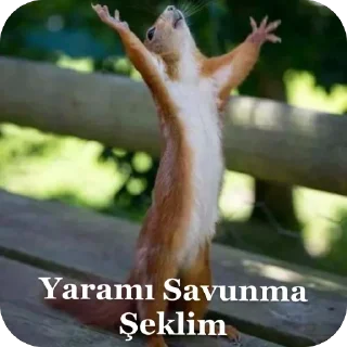 🫥 emoji 𝐒𝐈𝐋𝐄𝐍𝐓 𝐓𝐄𝐀𝐌 #YENİDEN pack by @QuotLyBot Telegram sticker 20 of 33