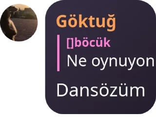 🫰 emoji #үıкıℓмαүαη sαℓтαηαт 🇹🇷 pack by @QuotLyBot Telegram sticker 5 of 120