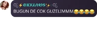 😂 emoji 🇹🇷 𝚂𝙾𝙷𝙱𝙴𝚃 𝙴𝚅𝚁𝙴𝙽𝙸 pack by @QuotLyBot Telegram sticker 13 of 24