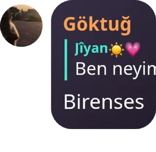🏃‍♂️ emoji #үıкıℓмαүαη sαℓтαηαт 🇹🇷 pack by @QuotLyBot Telegram sticker 15 of 120