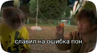 Sticker from Обезьянки поны