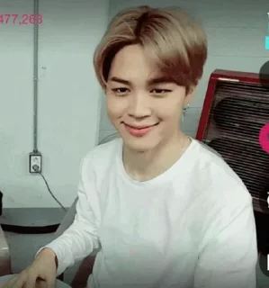 🐶 emoji Jimin... (@Bts_stickers1) Telegram sticker 20 of 100