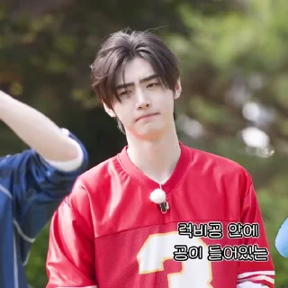 🪫 emoji ‌        sunghoon @l3ixar Telegram sticker 12 of 100