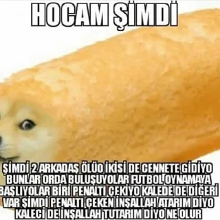 😳 emoji Isa Samet ♿️ but Retard™s kang pack 1 Telegram sticker 11 of 120