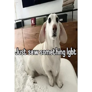 Sticker from homophobic dog