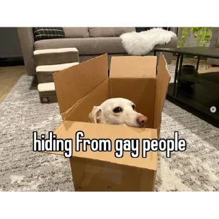 Sticker from homophobic dog