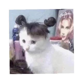 Sticker from @Xo_1il1i😾