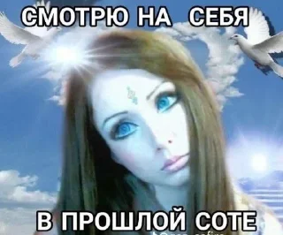Sticker from мы живем в сотах :: @iluvbonin