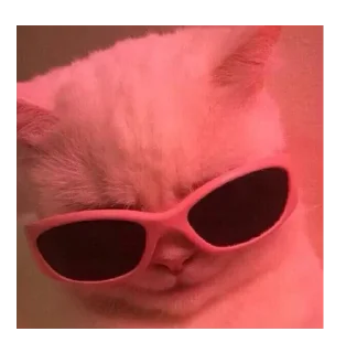😎 emoji tyna😷 Telegram sticker 17 of 78