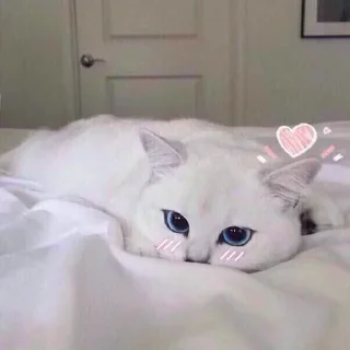 ❤ emoji tyna😷 Telegram sticker 18 of 78