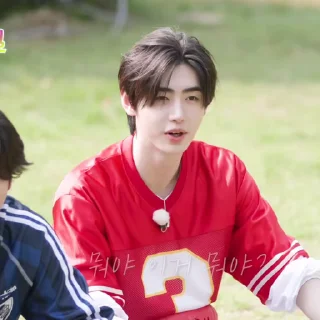 🪫 emoji ‌        sunghoon @l3ixar Telegram sticker 17 of 100