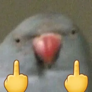 🦜 emoji Parande Haghir (Iranboys version) Telegram sticker 13 of 85