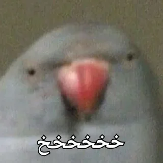 🦜 emoji Parande Haghir (Iranboys version) Telegram sticker 24 of 85