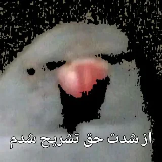 🦜 emoji Parande Haghir (Iranboys version) Telegram sticker 9 of 85