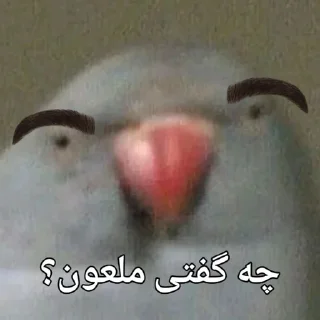🦜 emoji Parande Haghir (Iranboys version) Telegram sticker 17 of 85