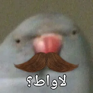 🦜 emoji Parande Haghir (Iranboys version) Telegram sticker 20 of 85