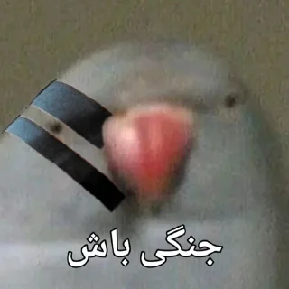 🦜 emoji Parande Haghir (Iranboys version) Telegram sticker 3 of 85