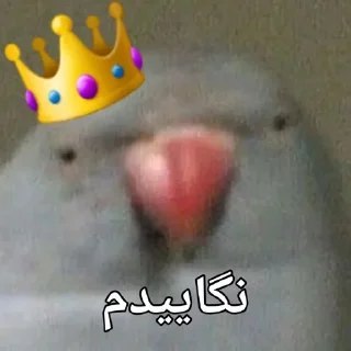 🦜 emoji Parande Haghir (Iranboys version) Telegram sticker 4 of 85