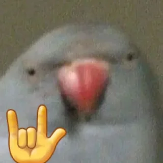 🦜 emoji Parande Haghir (Iranboys version) Telegram sticker 2 of 85