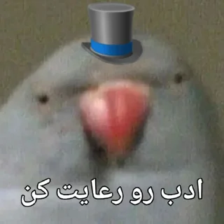 🦜 emoji Parande Haghir (Iranboys version) Telegram sticker 15 of 85