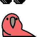 🦜 emoji @merthoz @AsenaUserBot Paketi 1 animasyonlu Telegram sticker 6 of 8
