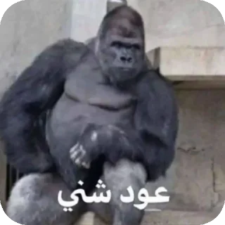 Sticker from @R_77_p محمد