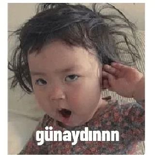 🌟 emoji TÜRKİYE  Zirve Telegram sticker 24 of 39