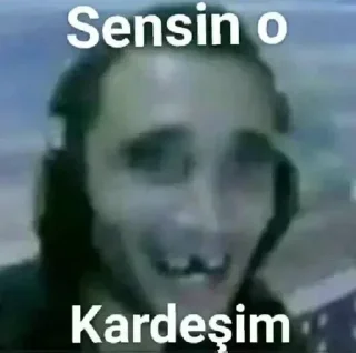 🌟 emoji TÜRKİYE  Zirve Telegram sticker 14 of 39