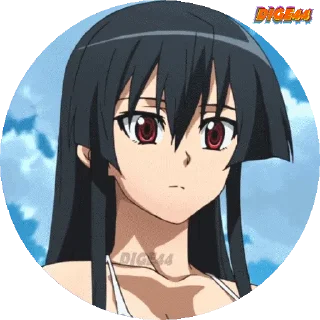 Sticker from @STIKERFORALL AKAME GA KILL PHOTO CIRCLE