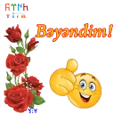 Sticker from ShS-Az-Turk