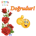 Sticker from ShS-Az-Turk