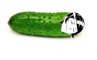 🥒 emoji У МЕНЕ НЕМАЄ МОЗКУ (@IDKBMD) Telegram sticker 7 of 46