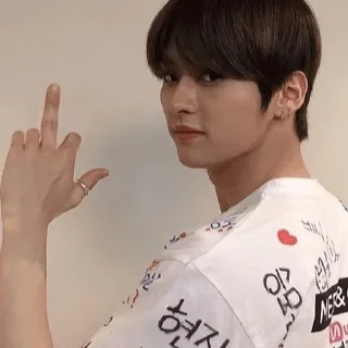 Sticker from stray kids