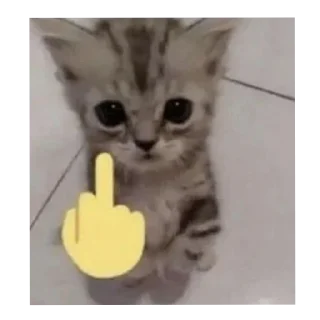 🐱 emoji @kodyesilulan (Tepki) Telegram sticker 22 of 34