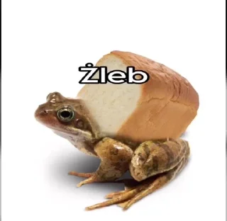 Żaba sticker 2