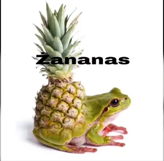 Żaba sticker 4