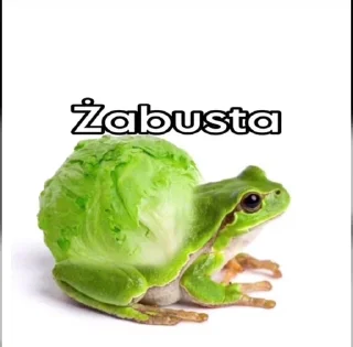 Żaba sticker 1
