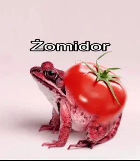 Żaba sticker 3