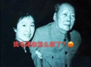 Sticker from 支那🐷专属