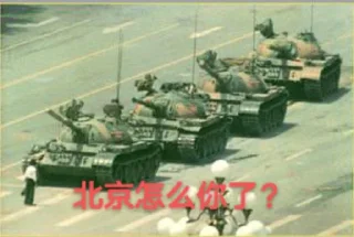 Sticker from 支那🐷专属