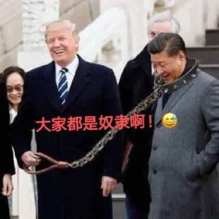 Sticker from 支那🐷专属