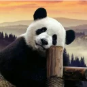 Sticker from Panda